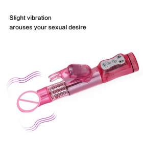 Honey Rotation & Vibration Rabbit Vibrator 