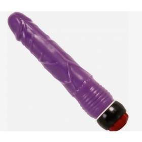 Adam Jelly Vibrator - Purple