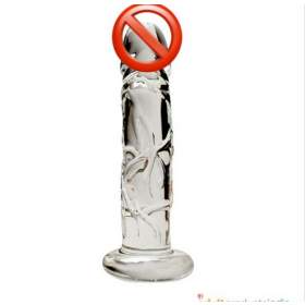 Soft Jelly Dildo & Anal Plug with Suction Cup