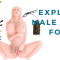 Explore Realistic Male Masturbators for Enhanced Pleasure in Chandigarh